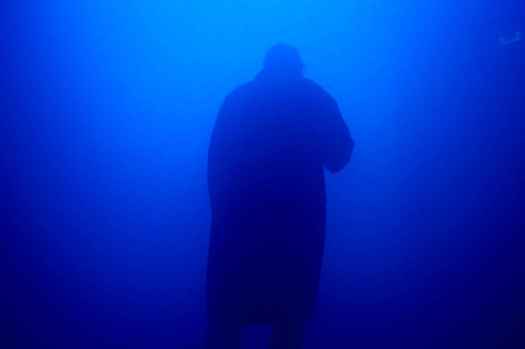 Janssen Daylight Blue... 2011